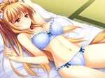  animal_ears bra brown_eyes brown_hair foxgirl game_cg long_hair miyama_kon navel otomimi_infinity panties tail underwear yasaka_minato 