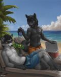 anthro beach bladder_bulge canid canine canis clothed clothing cooler difetra duo hi_res male mammal omorashi procyonid raccoon seaside swimming_trunks swimwear topless wolf