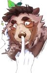 aboxsha absurd_res anthro bear biped blush boop brown_body brown_fur duo eyewear fur glasses hi_res leaf_on_head male mammal mature_male nose_boop solo_focus surprised_expression