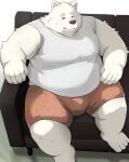 2024 4_toes 5_fingers anthro belly big_belly bottomwear bulge canid canine canis clothing domestic_dog feet fingers fur furniture hi_res humanoid_hands kemono male mammal noctnoc overweight overweight_male shirt shorts sitting sofa solo toes topwear white_body white_fur