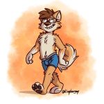  blue_underwear boxer_briefs brown_hair canid canine canis clothed clothing domestic_dog eyewear glasses hair male mammal shiranai solo tinydeerguy topless underwear 