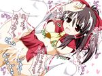  reimu_hakurei tagme touhou 