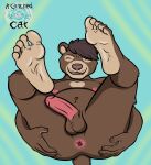 5_fingers 5_toes a_glitched_cat absurd_res anthro anus balls bear belly butt feet fingers genitals hi_res holding_butt humanoid_feet humanoid_genitalia humanoid_penis male mammal navel penis plantigrade solo spread_anus spreading toes