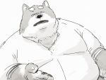 2024 anthro belly big_belly black_nose canid canine canis domestic_dog grey_body hi_res kemono male mammal overweight overweight_male pommn_mn simple_background solo