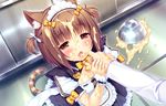  animal_ears apron azuki_(sayori) bell blush bow brown_eyes brown_hair catgirl dress game_cg headdress maid nekopara ribbons sayori short_hair tail twintails wristwear 