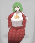  1girl ascot breasts closed_mouth collared_shirt green_hair grey_background highres kazami_yuuka large_breasts looking_at_viewer mata_(matasoup) plaid plaid_skirt plaid_vest red_eyes red_skirt red_vest shirt short_hair simple_background skirt smile solo touhou vest white_shirt yellow_ascot 