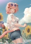  1girl absurdres animal_ears arknights ass breasts cat_ears cat_girl cat_hair_ornament cat_tail chinese_commentary commentary_request denim denim_shorts eyewear_on_head flower food-themed_hair_ornament from_behind goldenglow_(arknights) goldenglow_(summer_flowers)_(arknights) hair_ornament hairclip highres medium_breasts official_alternate_costume open_mouth pink_hair round_eyewear shirt short_hair short_shorts shorts solo sunflower sunglasses tail watermelon_hair_ornament welt_(kinsei_koutenkyoku) white_shirt yellow_eyes 