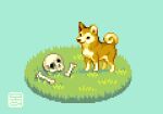 ambiguous_gender animated bone canid canine canis cc-by-nc-nd creative_commons digital_media_(artwork) domestic_dog feral grass low_res mammal moawling pixel_(artwork) pixel_animation plant quadruped skull solo tail tongue tongue_out