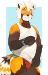 2024 ailurid blush brown_body brown_fur clothing fur hair hi_res jockstrap looking_at_viewer male mammal nervous_smile red_panda shirt smile smiling_at_viewer solo tail topwear underwear white_hair yuuko891