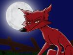 2014 4:3 back_at_the_barnyard black_nose brown_eyes canid canine canis coyote dag_(back_at_the_barnyard) fairytalekitty feral full_moon fur grass looking_at_viewer male mammal moon night notched_ear plant red_body red_fur skinny solo