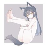  1girl animal_ears arknights barefoot black_hair blush censored feet feet_up highres hugging_own_legs long_hair looking_at_viewer mosaic_censoring nipples simple_background soles solo tail texas_(arknights) toes wl217_(nicexa111) wolf_ears wolf_girl wolf_tail yellow_eyes 