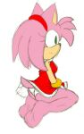 accessory amy_rose barefoot clothed clothing dress eulipotyphlan feet frozesolidfox fur green_eyes headband hedgehog looking_away mammal panties pink_body pink_fur red_clothing red_dress sega seth65 sonic_the_hedgehog_(series) tail underwear upskirt