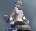 anthro gabeccoon hi_res male mammal muscular procyonid raccoon solo
