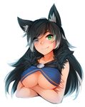  animal_ears bangs black_hair blue_eyes blush borrowed_character breasts bunny_and_fox_world covered_nipples crossed_arms cryska_(rune_ocarina) fang green_eyes heterochromia large_breasts long_hair multicolored_hair original ricegnat solo swept_bangs underboob white_hair wolf_ears 