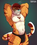 anthro clothed clothing felid feline hi_res looking_at_viewer male mammal muscular raised_arms scorgre simple_background solo striped_body stripes terryskaii_(artist) underwear underwear_only