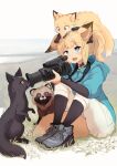  1girl animal_ears animal_on_head batta_(kanzume_quality) black_bodysuit blue_eyes blue_jacket blush bodysuit bodysuit_under_clothes camera capri_pants choker ear_down fox fox_ears fox_girl fox_tail grass holding holding_camera hood hooded_jacket horizon jacket kitsune_no_oyome-chan looking_up on_head open_mouth outdoors pants shoes sitting tail tanuki white_pants 