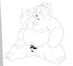  2024 anthro balls bear belly big_belly flaccid genitals hi_res japanese_text kemono male mammal micropenis moobs navel nipples overweight overweight_male penis pubes sitting small_penis solo suishou0602 text 