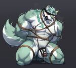  abs absurd_res anthro bdsm biceps big_muscles bit_gag blindfold blush bodily_fluids bondage bound canid canine canis chastity_cage chastity_device cum cum_drip cum_string domestic_dog dripping fluffels19 frogtied gag gagged genital_fluids genitals green_body hands_behind_back hi_res humanoid_genitalia humanoid_penis kneeling leaking_cum legs_tied male mammal muscular nipple_chains nipple_piercing nipple_ring nipples nude pecs penis piercing restraints ring_piercing rope rope_bondage shaking simple_background solo 