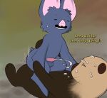  anal anthro balls bat batrick_(natural_habitok) black_body black_fur bodily_fluids brown_body brown_fur cowgirl_position cum cum_on_face cum_while_penetrated duo erection from_front_position fur genital_fluids genitals hi_res male male/male male_penetrated male_penetrating male_penetrating_male mammal michael_(natural_habitok) mustelid natural_habitat_shorts on_bottom on_top orgasm otter penetration penis sex sharkysocks sweat tapering_penis wings 