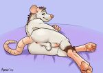  aaron_pictus_(keppie) anthro backsack balls bedroom_eyes big_butt butt circumcised erection flirting_look genitals male male/male mammal narrowed_eyes paws penis rodent seductive solo solo_focus 