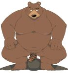  2024 anthro arufina_w balls bear belly black_nose bodily_fluids brown_body censored duo erection genitals hi_res humanoid_genitalia humanoid_hands humanoid_penis kemono male mammal moobs navel nipples overweight overweight_male penis sweat 