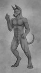  2017 4_toes 5_fingers 8_nipples abs animal_genitalia anthro balls black_and_white canine claws digital_drawing_(artwork) digital_media_(artwork) front_view grey_background holding_object jackal looking_down male mammal monochrome multi_nipple nipples nude parchment pawpads paws sheath simple_background sketch solo standing toe_claws toes yaroul 
