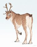  ambiguous_gender antlers blue_eyes brown_nose brown_spots butt cervine digital_media_(artwork) feral fur hooves horn lhuneart mammal reindeer simple_background solo spots spotted_fur standing tan_fur white_background 