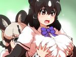  african_wild_dog_(kemono_friends) animal_ears bear_ears bear_girl blue_neckwear blush bow bowtie breast_grab breasts brown_bear_(kemono_friends) brown_hair commentary_request dog_ears elbow_gloves eyebrows_visible_through_hair gloves grabbing grabbing_from_behind isuna kemono_friends large_breasts long_sleeves multicolored_hair multiple_girls open_mouth shirt short_hair short_sleeves white_shirt yuri 