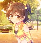  akagi_miria arms_behind_back bare_shoulders bench black_hair blush brown_eyes eyebrows_visible_through_hair hair_ribbon idolmaster idolmaster_cinderella_girls jewelry lamppost looking_at_viewer midriff naoharu_(re_barna) navel necklace outdoors park park_bench ribbon shirt short_hair short_twintails shoulder_cutout signature smile star star_necklace sunlight sunset tied_shirt tree twintails twitter_username two_side_up upper_body yellow_shirt 