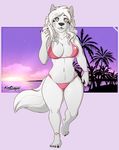  2017 anthro breasts butt canine clothing female fur kanutwolfen leona_rossengard_(character) mammal slightly_chubby solo swimsuit white_fur wolf 