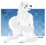  2016 anthro anus butt canine female fur kanutwolfen kneeling leona_rossengard_(character) looking_back mammal pussy rear_view simple_background smile solo white_fur wolf 