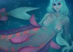  blue_theme breasts featureless_breasts female fish_tail hair looking_at_viewer marine merfolk nude pink_scales purple_scales scales solo stringmouse white_hair 