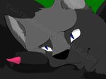  ambiguous_form ambiguous_gender ashfur_(warriors) black_fur cat feline fur grey_fur male male/ambiguous mammal penis scourge_(warriors) thathornycat warriors_(cats) 