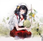 1girl absurdres black_hair blue_eyes blush flower food fruit grass hair_flower hair_ornament hakama hakama_skirt headscarf heterochromia highres holding holding_food holding_fruit japanese_clothes long_hair looking_at_viewer orange_eyes parted_lips red_hakama sketch skirt smile solo squatting suruga_(warship_girls_r) warship_girls_r white_background xiangchizhubijin yellow_flower 