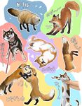  canine cat collar cute dog feline feral fight fox leash mammal open_mouth shiba_inu stretching yawn ドイツ犬_(artist) 