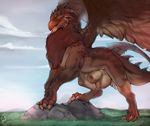  2017 absurd_res animal_genitalia anthro avian balls beak brown_balls brown_feathers brown_fur brown_tail brown_wings claws cloud day digital_media_(artwork) dragon feathered_wings feathers feral field fully_sheathed fur grass grey_horn gryphon hi_res horn hybrid male orange_beak outside ozi-rz quadruped rock sheath side_view sky slit_pupils solo wings yellow_eyes 