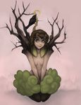  avian bird blue_eyes braided_hair breasts brown_hair corvid crow female fileece flora_fauna goat_ears hair horn humanoid leaves nature_spirit not_furry nude plant stringmouse tree 