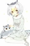  animal bird bird_tail coat fork_in_mouth fur-trimmed_sleeves fur_collar fur_trim grey_coat grey_hair head_wings highres huang_bao_b kemono_friends multicolored_hair northern_white-faced_owl_(kemono_friends) owl pantyhose short_hair sitting sparkle white_coat white_hair white_legwear 