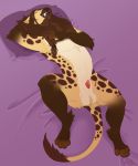  animal_genitalia balls bed braided_hair claws fangs feline glasswalker hair hybrid hyena lion lying male mammal paws penis penis_tip pillow purple_background sheath simple_background solo spots spread_legs spreading 