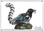  ambiguous_gender avian beak bird black_beak claws digital_media_(artwork) feathered_wings feathers feral hybrid lemur magpie mammal pechschwinge primate simple_background solo white_background wings 