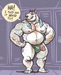  2017 anthro arm_hair barazoku beard belly body_hair brown_hair bulge bull_terrier canine chest_hair clothed clothing dog dramamine ear_piercing facial_hair hair hand_on_hip happy_trail leg_hair locker_room male mammal musclegut muscular muscular_male nipples open_mouth orange_hair pecs penis piercing poking_out smile solo speedo standing stomach_hair swimsuit tattoo tight_clothing tight_underwear topless towel white_skin 