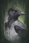  ambiguous_gender avian beak bird black_beak black_feathers brown_eyes corvid crow digital_media_(artwork) feathers feral pechschwinge solo 