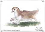  ambiguous_gender avian beak brown_feathers digital_media_(artwork) feathered_wings feathers feral gryphon hybrid pechschwinge smile solo wings 