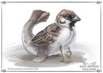  ambiguous_gender avian beak bird digital_media_(artwork) feral hybrid mammal marine pechschwinge pinniped seal solo sparrow 