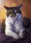  2017 ambiguous_gender cat digital_media_(artwork) feline feral fur grey_fur looking_at_viewer mammal paws photorealism solo whiskers white_fur wolnir 