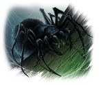  ambiguous_gender arachnid arthropod digital_media_(artwork) feral green_eyes pechschwinge solo spider standing 