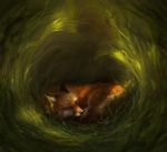  2017 ambiguous_gender black_nose canine detailed_background digital_media_(artwork) feral fox fur grass lying mammal orange_fur sleeping solo tamberella 