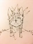  1boy animal_ears animal_nose closed_mouth collarbone commentary_request earrings facial_mark feather_hair_ornament feathers final_fantasy final_fantasy_vii furry furry_male hair_ornament hair_tie hatching_(texture) highres indeigo15 jewelry linear_hatching looking_at_viewer mane one_eye_closed pen_(medium) red_xiii scar scar_across_eye scar_on_face traditional_media upper_body 