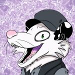 abstract_background animated black_ears clothing ear_piercing ear_ring fur green_eyes grey_body grey_fur hat headgear headwear jewelry piercing pngtuber purple_background ring_piercing sharp_teeth simple_background teeth tongue tongue_piercing topwear trevor-fox vest whiskers white_body white_fur