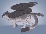  2017 4_toes anus avian beak bird black_eyes black_feathers black_fur black_pawpads digital_media_(artwork) dipstick_tail feathered_wings feathers feline female feral folded_wings full-length_portrait fur grey_background grey_fur gryphon hybrid leopard looking_back mammal multicolored_tail osprey pawpads paws pink_anus pink_pussy portrait pussy side_view simple_background snow_leopard solo tail_feathers toes white_fur wings yaroul yellow_sclera 